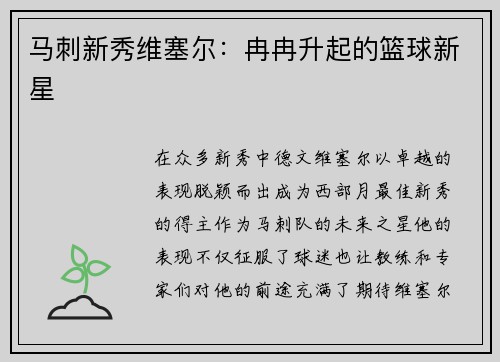 马刺新秀维塞尔：冉冉升起的篮球新星